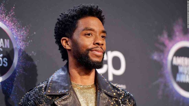 Chadwick Boseman celebrated his 47th birthday in the great land of South Africa